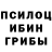 Галлюциногенные грибы мухоморы Evhen Panchenko